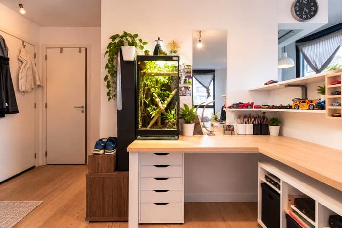 Huizen Koop Huur - 3